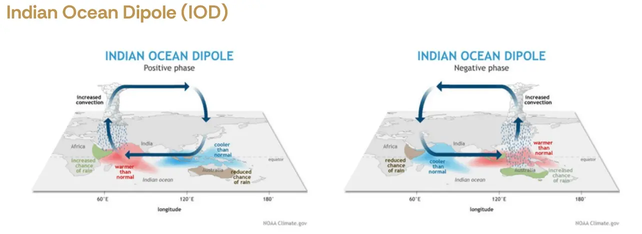 Indian Ocean Dipole IOD