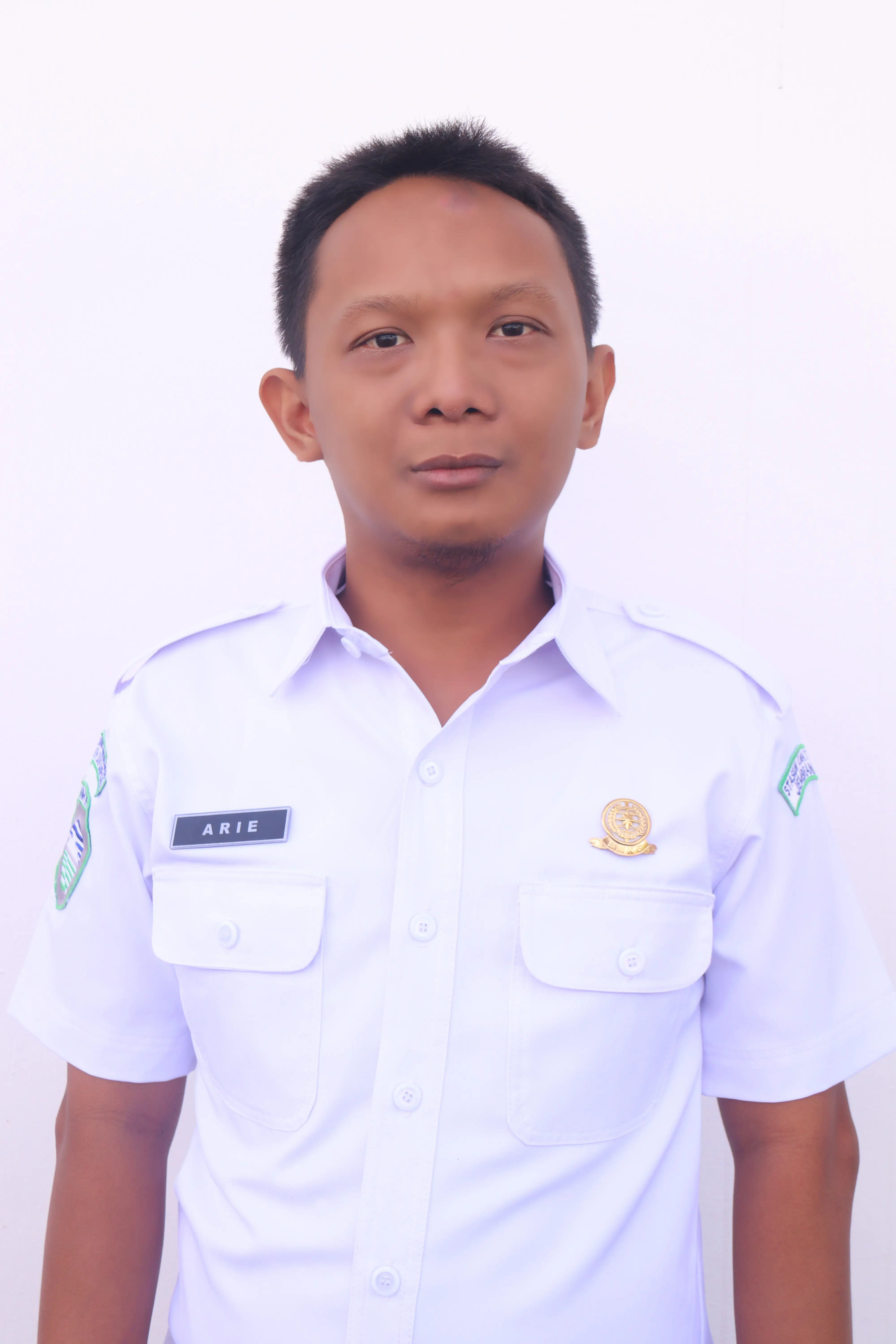 ARIE PRIYOMBODO